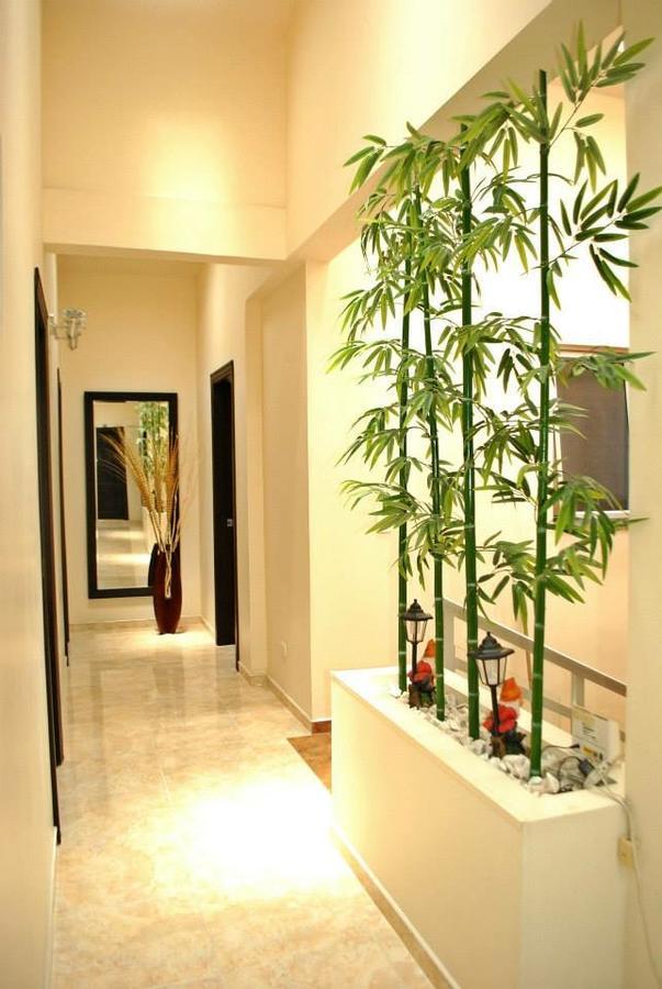 Hotel Victoria Chinchiná Dış mekan fotoğraf